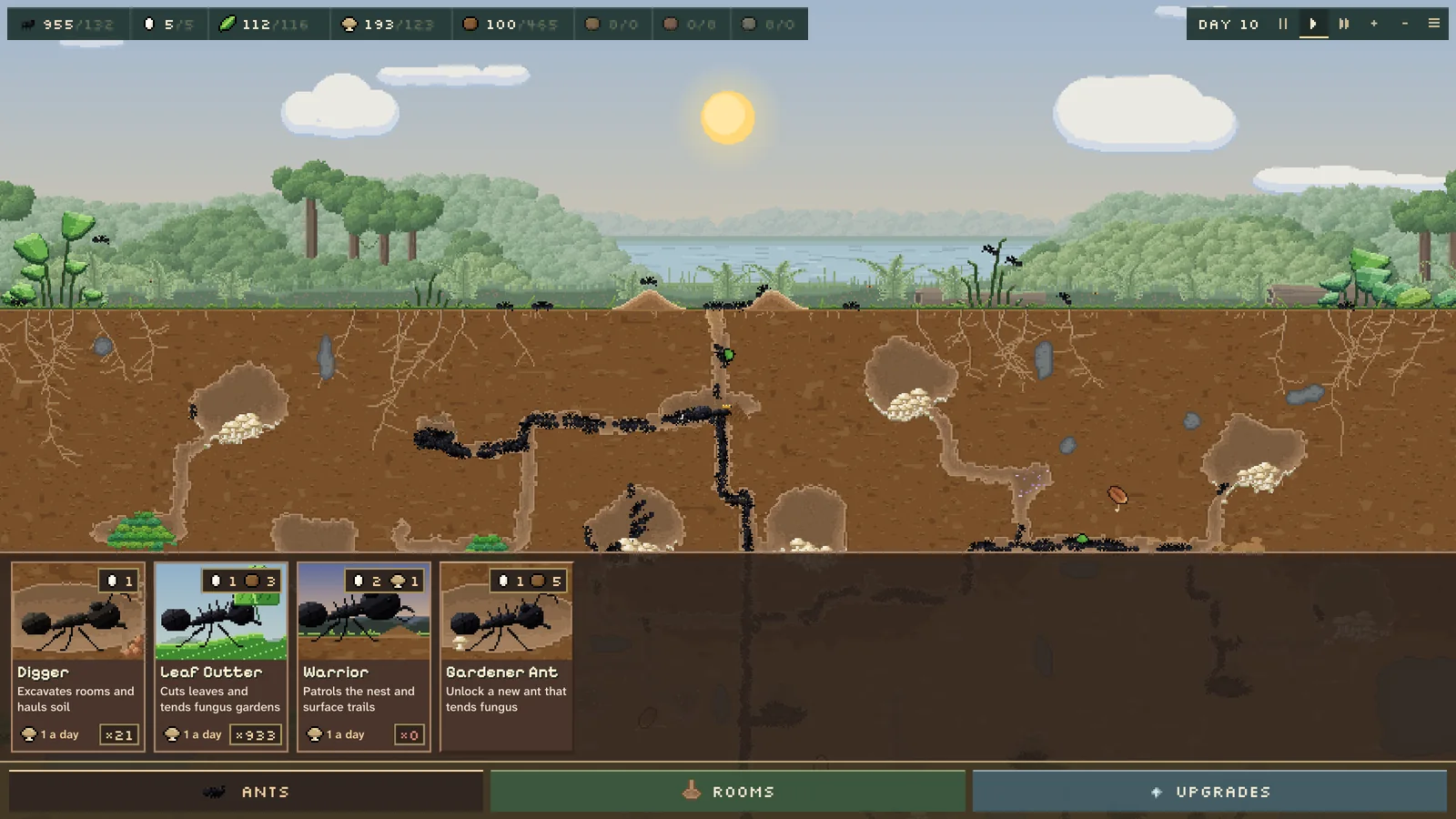 The Ants dock with leaf cutter, digger and warrior cards in Ant Architect