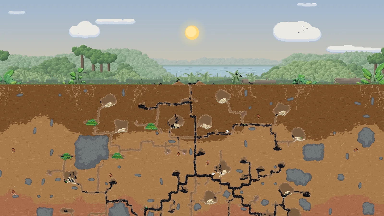 A sprawling Ant Architect nest of tunnels and fungus farms