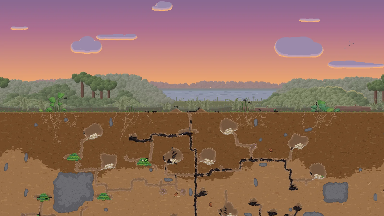 A grown leafcutter ant nest beneath a meadow at sunset in Ant Architect